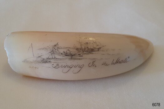 Whale tooth engraved with a whaling scene