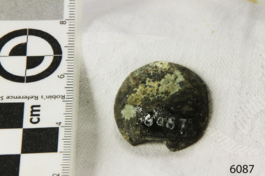 Button