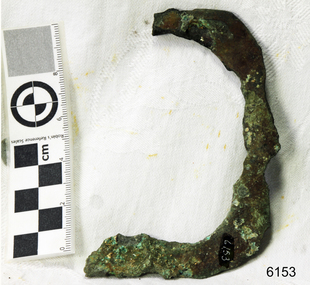 Harness Buckle