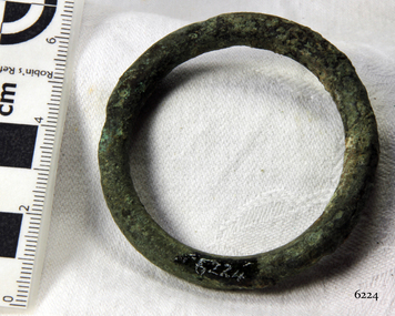 Harness Ring