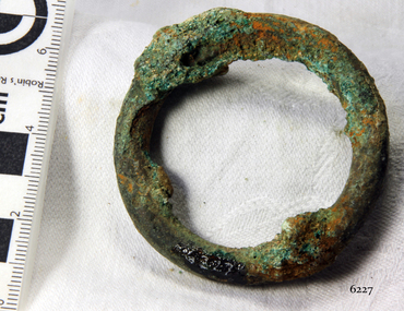 Harness Ring