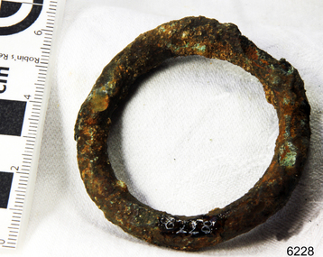 Harness Ring