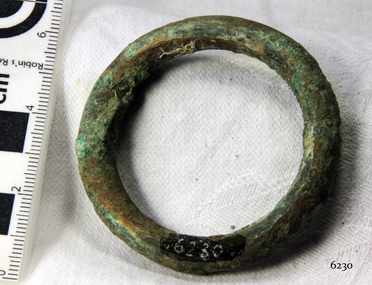 Harness Ring