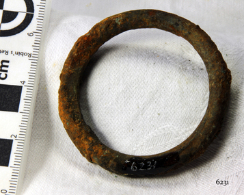 Harness Ring