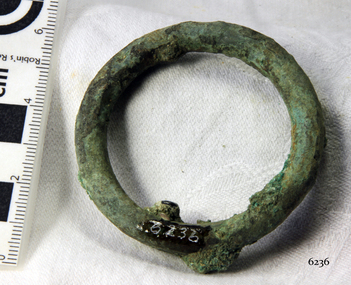 Harness Ring
