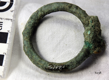 Harness Ring