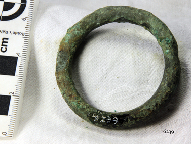 Harness Ring