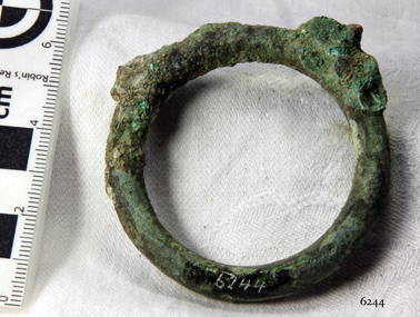 Harness Ring