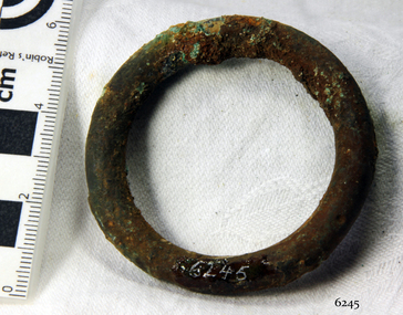 Harness Ring
