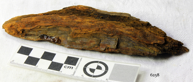 Wood Sample, 1854