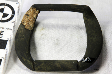 Harness Buckle