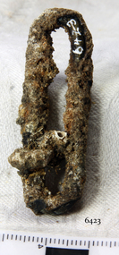 "S" Hook Buckle