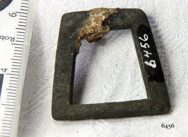 Shoe Buckle