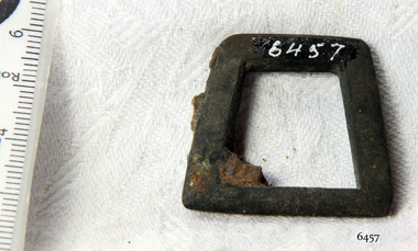 Shoe Buckle