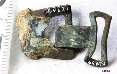 Shoe Buckle