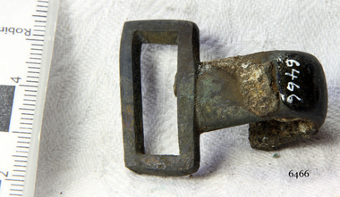 Shoe Buckle