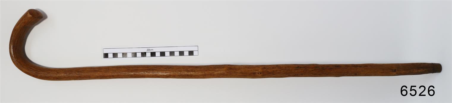 Wooden walking stick with hooked handle, surface has bumps of the branch.