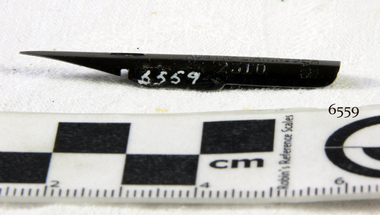 Nib