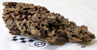 Wood Sample, About 1871