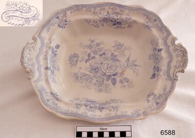 Dish