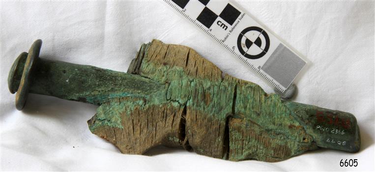 Copper nail within a wood sample