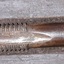 Tool's tip is shaped with cutting tool along part of the edges and a blunt ended flat shap at the head