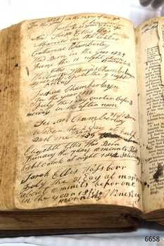 Notes in nib pen list family details