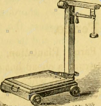 Picture in the media section of item from an old catalogue dated 1836-1916: