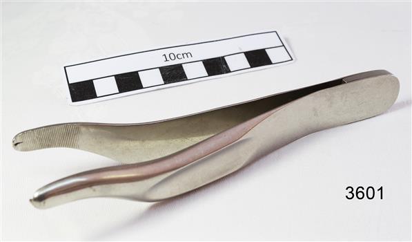 Stainless steel heavy duty forceps.