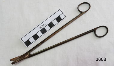 Surgical scissors, late 19th century