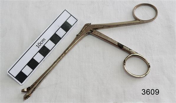 Stainless steel angled forceps with ring shaped ends.