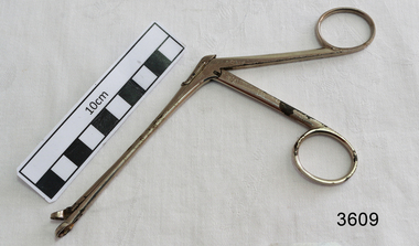 Stainless steel angled forceps with ring shaped ends.