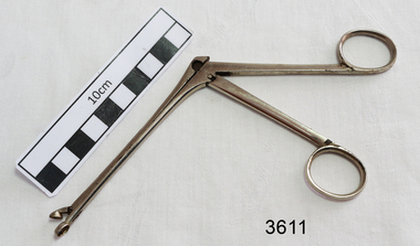 Stainless steel angled forceps with ring shaped ends.