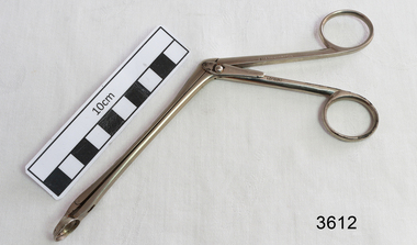 Stainless steel angled forceps with ring shaped ends.