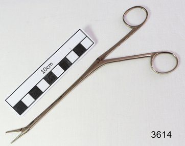 Stainless steel angled forceps with crocodile teeth ends.