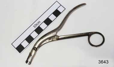 Surgical Instrument, late 19th Century
