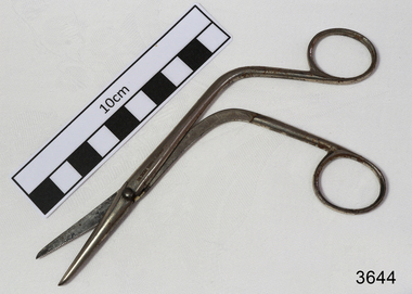 Surgical Scissors, late 19th century