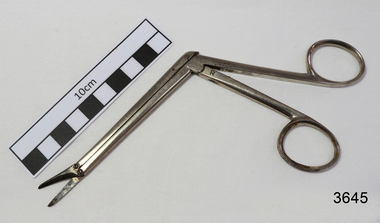 Surgical Scissors, late 19th century