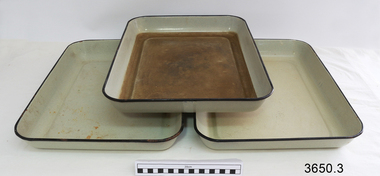 Developing tray