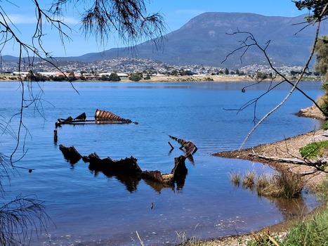 Wreck of the Otago in the Derwent River, Tasmania