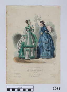 Illustrated and coloured page of the journal