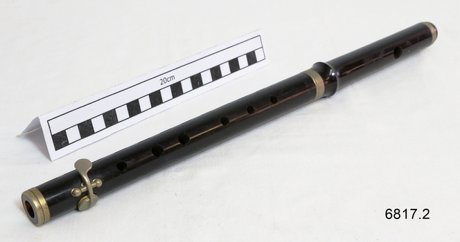 Dark coloured flute with gold trim, on bench