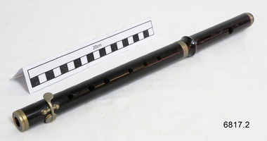 Dark coloured flute with gold trim, on bench