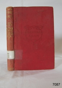 Book, Before Adam