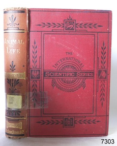 Book, The International Scientific Series Vol 31