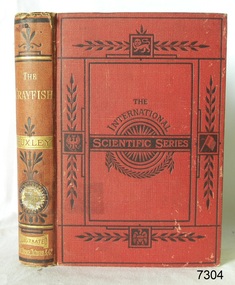 Book, The International Scientific Series Vol 28