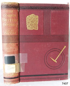 Book, Our Common British Fossils