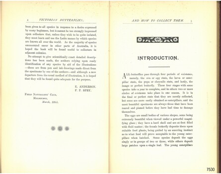 Decorative floral bar above the page's title