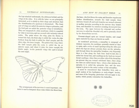 The printed double page spread includes a drawn illustration and a library stamp