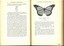 Left page has a small illustration, right page has a larger illustration of a butterfly